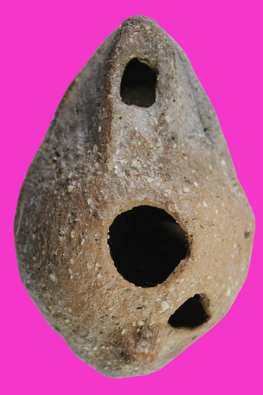 Ancient Holy Land Oil Lamp Artifact Jesus Christ Homeland 100 - 400 AD COA L09
