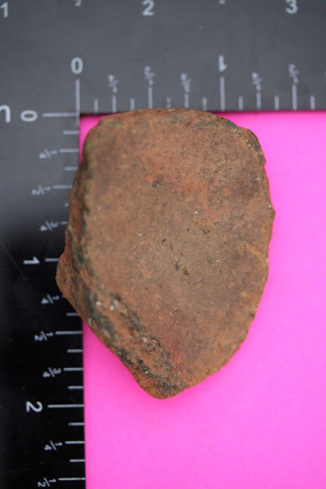 Puerto Rico Taino Pre Columbian Pottery Artifact FREE Display Case 1000AD COA 40