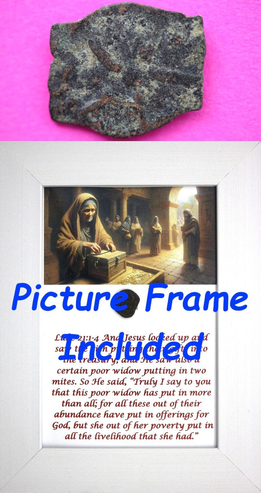 Widows Mite Coin Holy Land Artifact Free Display Frame Jesus Christ Lifetime 97