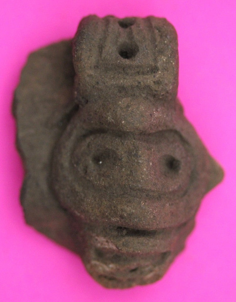 Puerto Rico Taino Pre Columbian Pottery Artifact FREE Display Case 1000AD COA 22