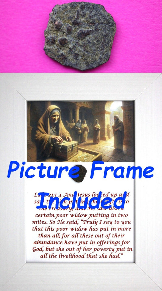Widows Mite Coin Holy Land Artifact Free Display Frame Jesus Christ Lifetime 174