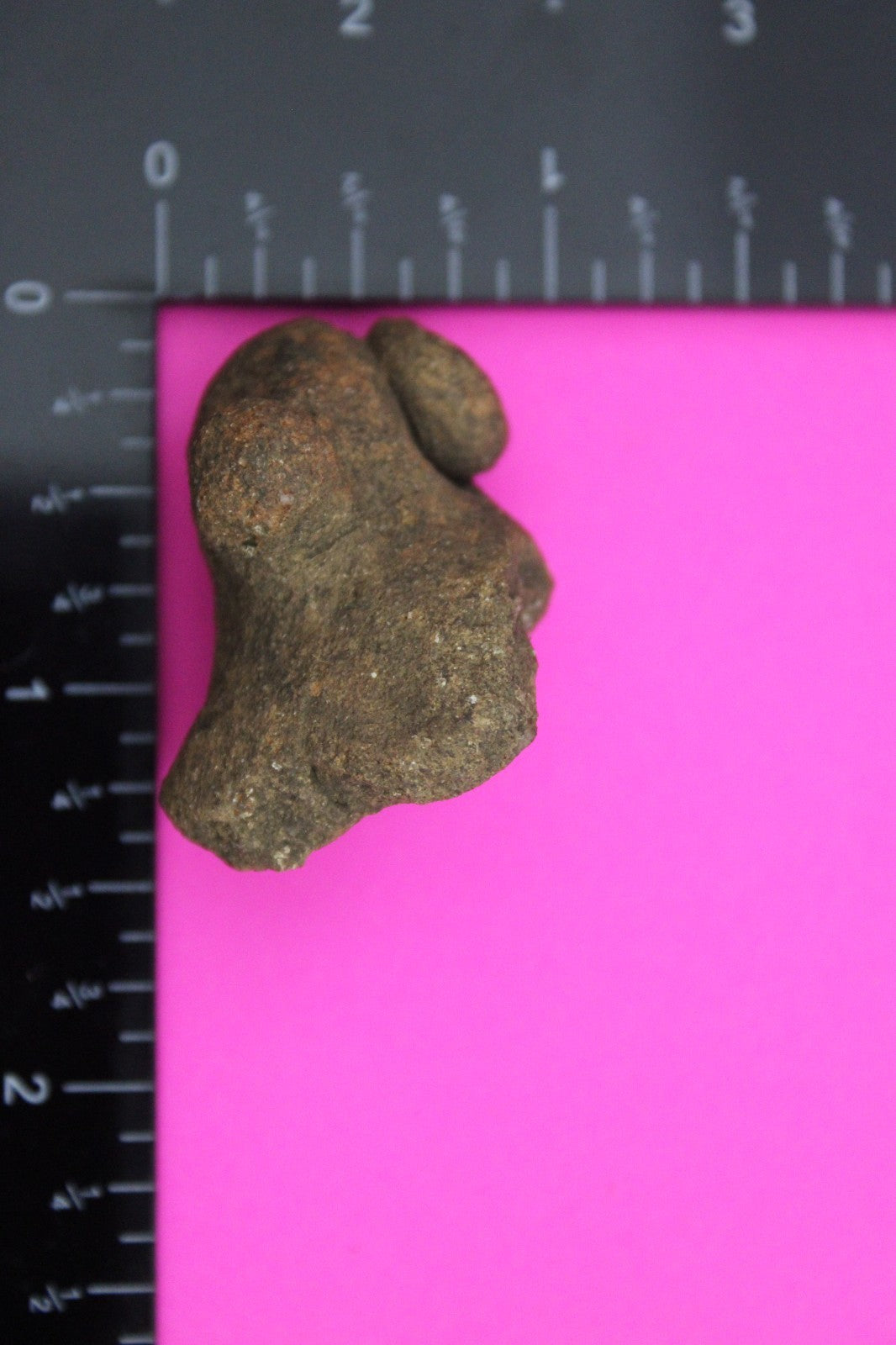 Puerto Rico Taino Pre Columbian Pottery Artifact FREE Display Case 1000AD COA 36