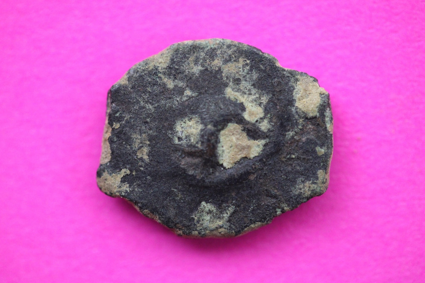 Widows Mite Coin Holy Land Artifact Free Display Frame Jesus Christ Lifetime 70