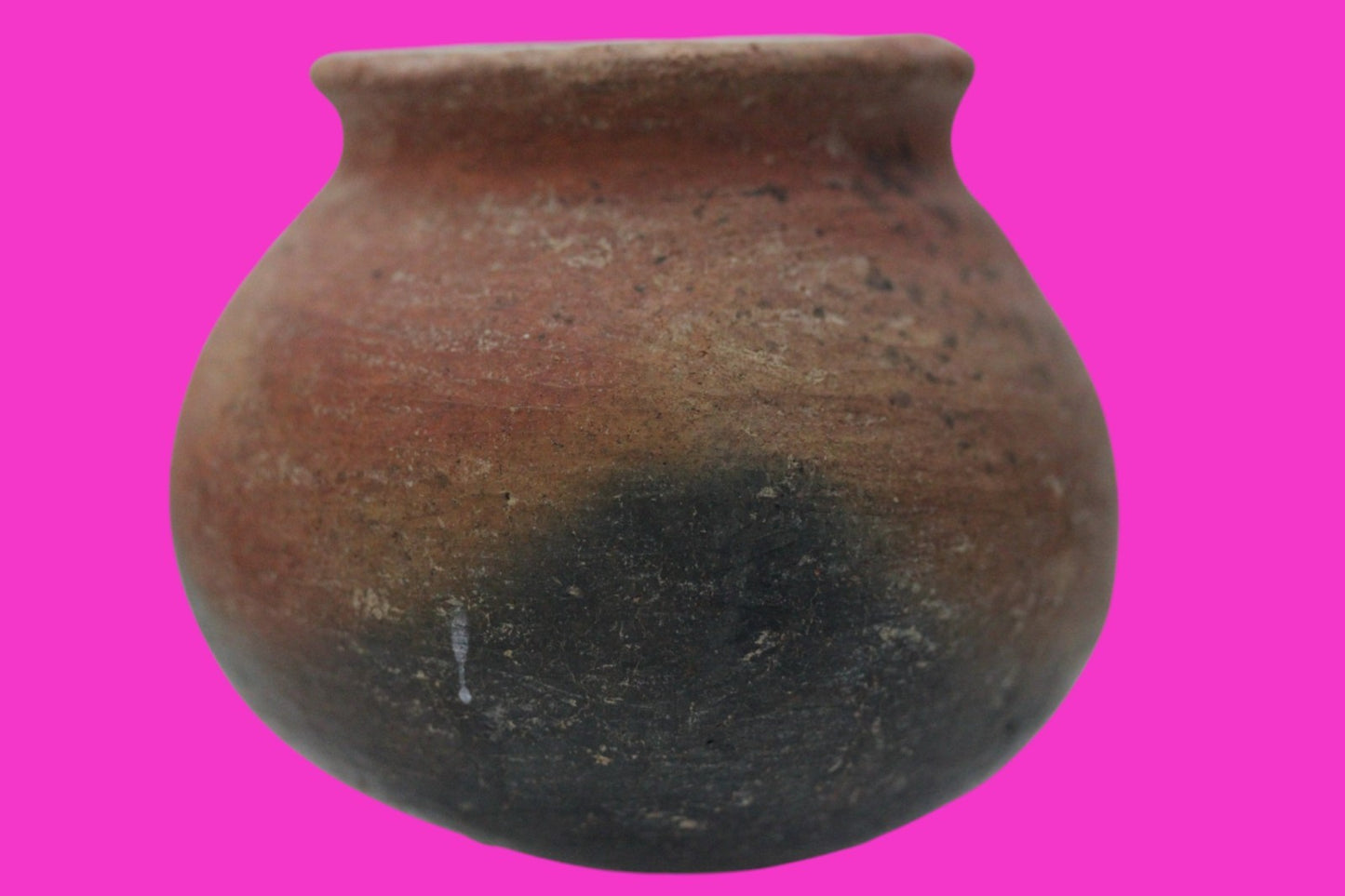 Pre Columbian Authentic Artifact Colima Cooking Pot Mexico 200BC - 200AD COA J14