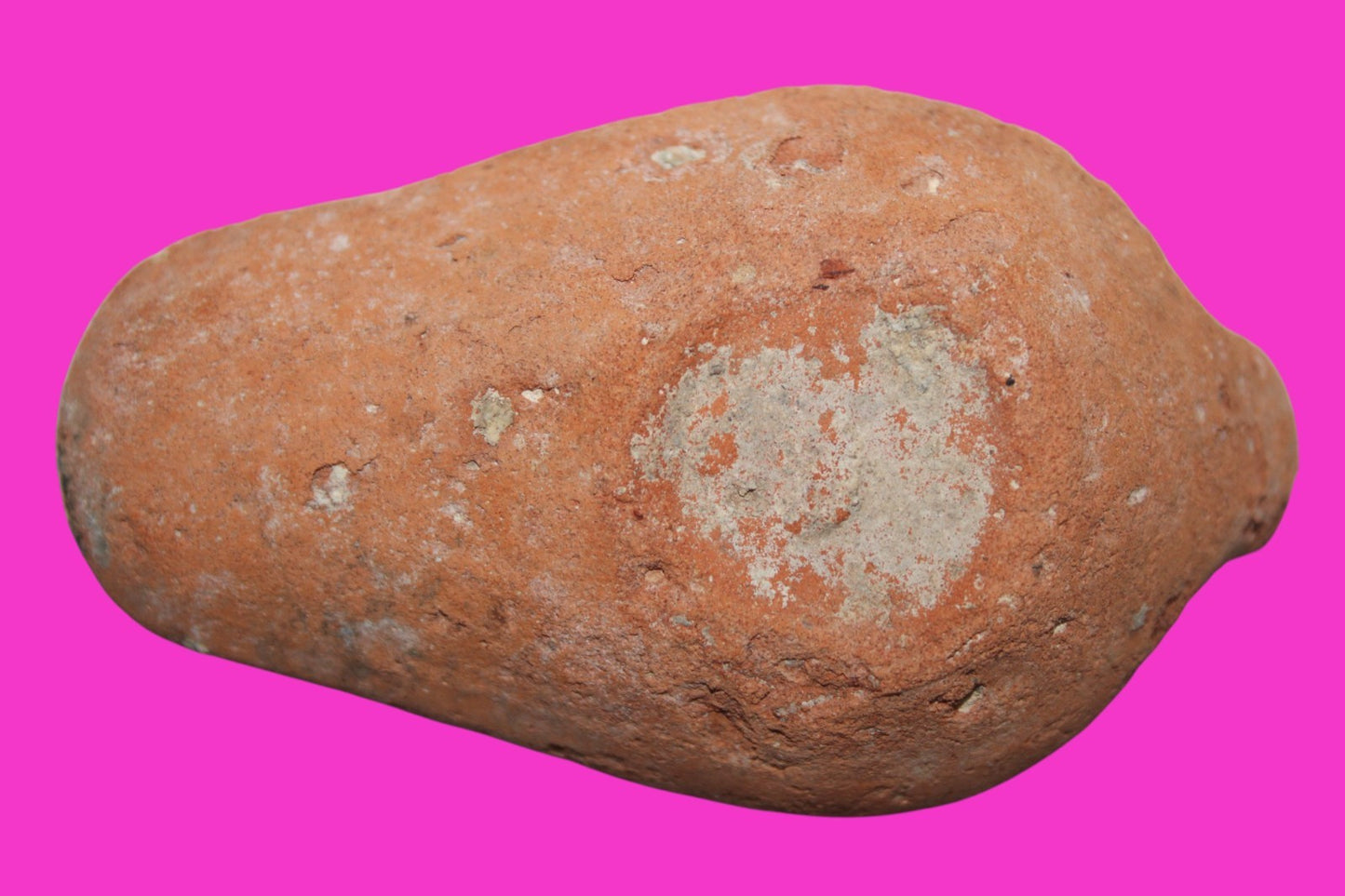 Ancient Holy Land Oil Lamp Artifact From Jesus Christ Home Land 100-500AD COA 56