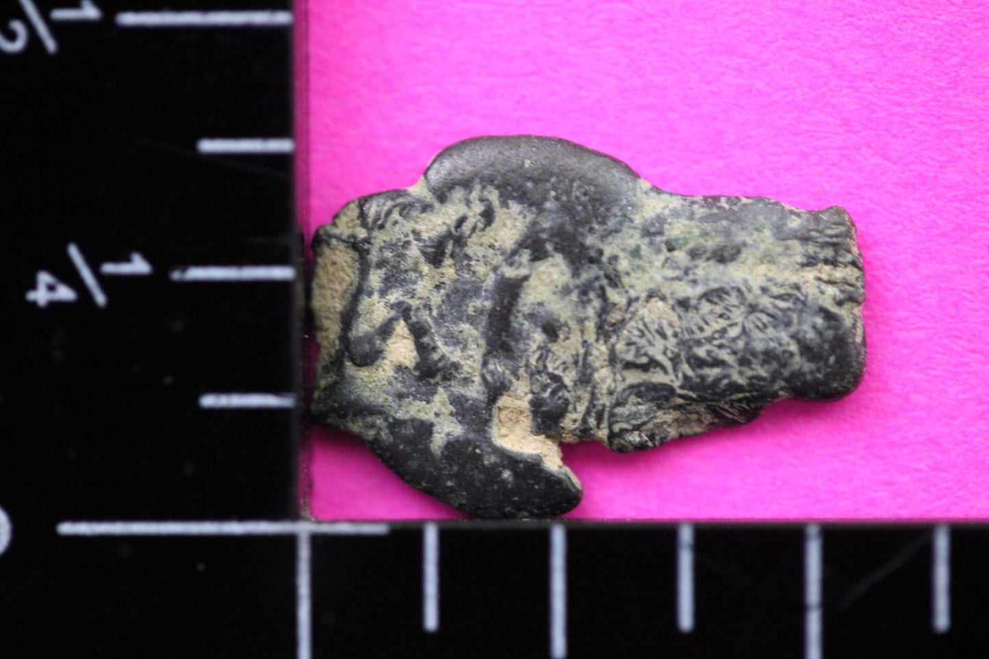 Widows Mite Coin Holy Land Artifact Free Display Frame Jesus Christ Lifetime 196