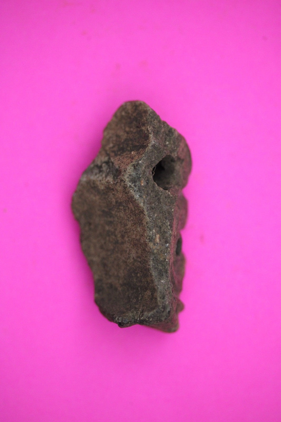 Puerto Rico Taino Pre Columbian Pottery Artifact FREE Display Case 1000AD COA 24