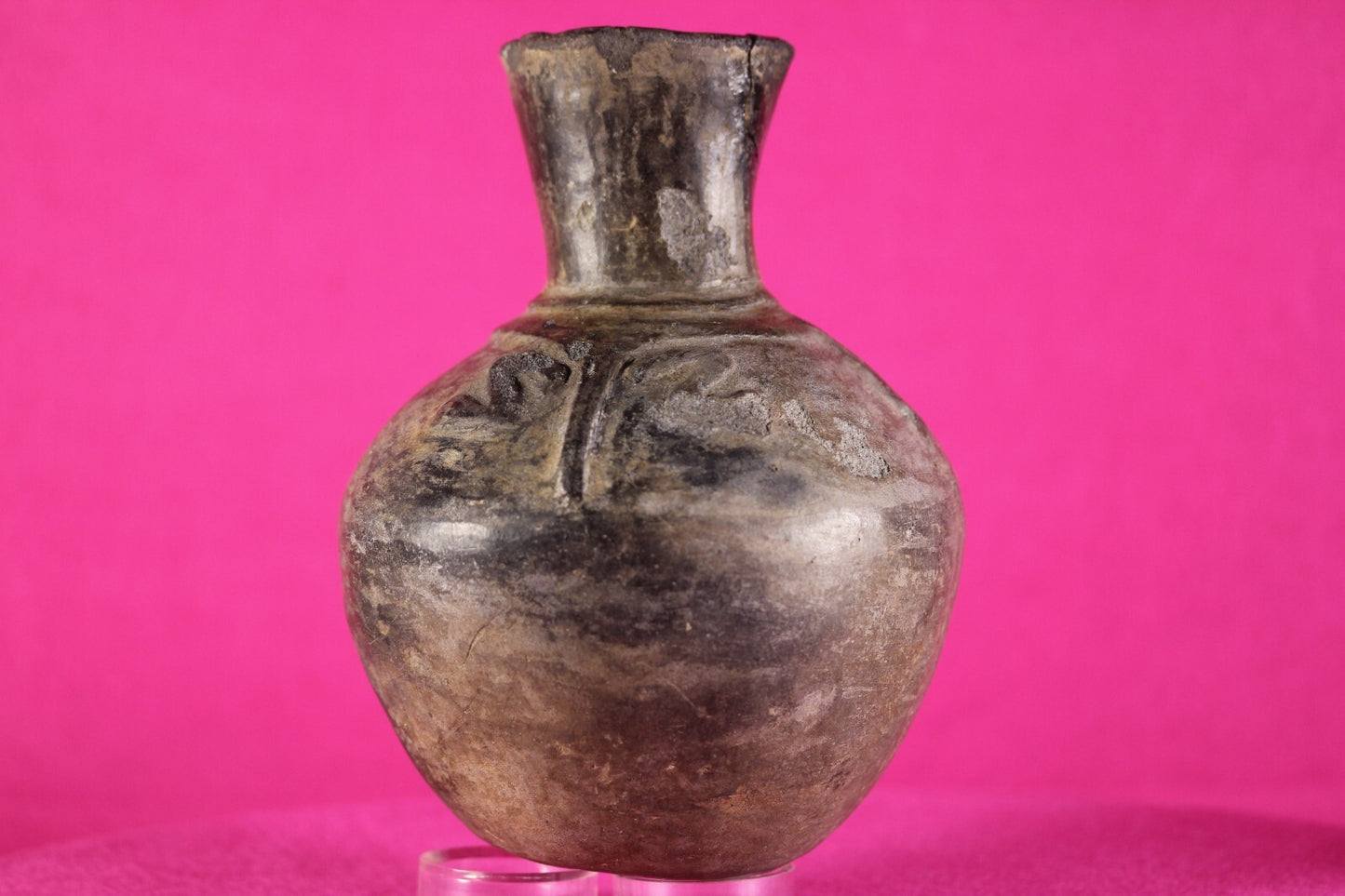 Pre Columbian Artifact Authentic Moche Frog Pottery Jar 100-800 AD Peru COA J60