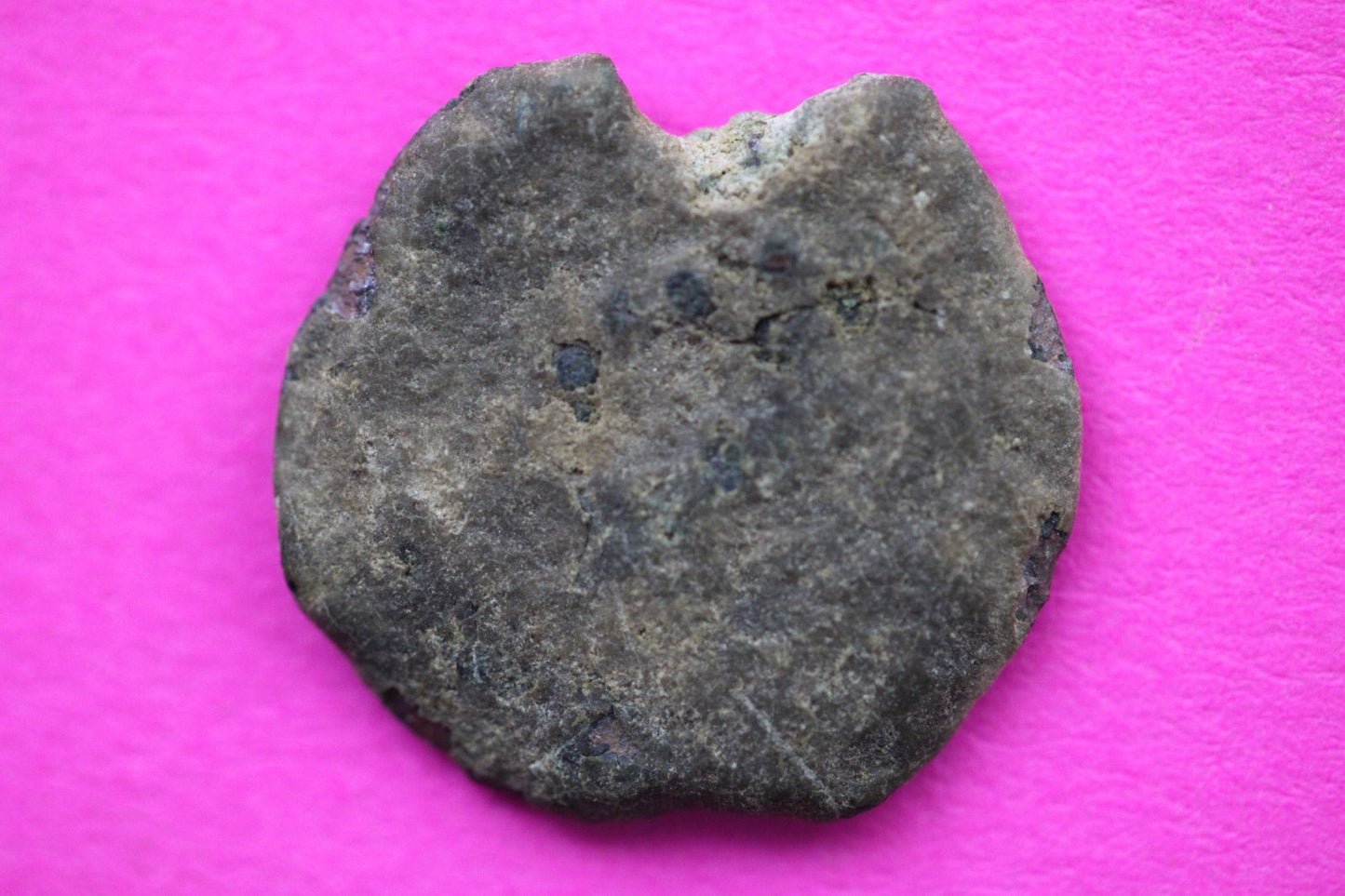 Widows Mite Coin Holy Land Artifact Free Display Frame Jesus Christ Lifetime 115