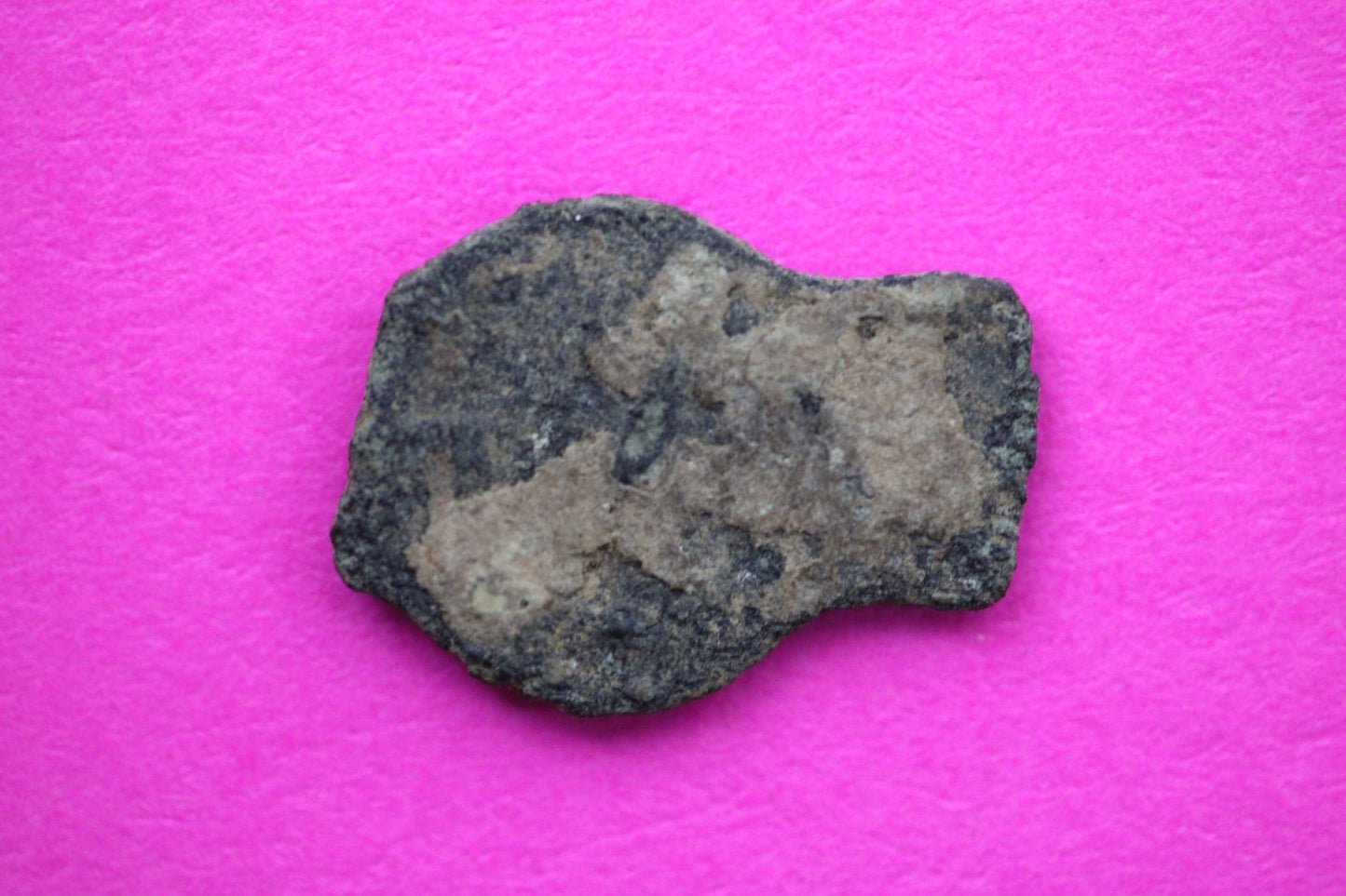 Widows Mite Coin Holy Land Artifact Free Display Frame Jesus Christ Lifetime 82