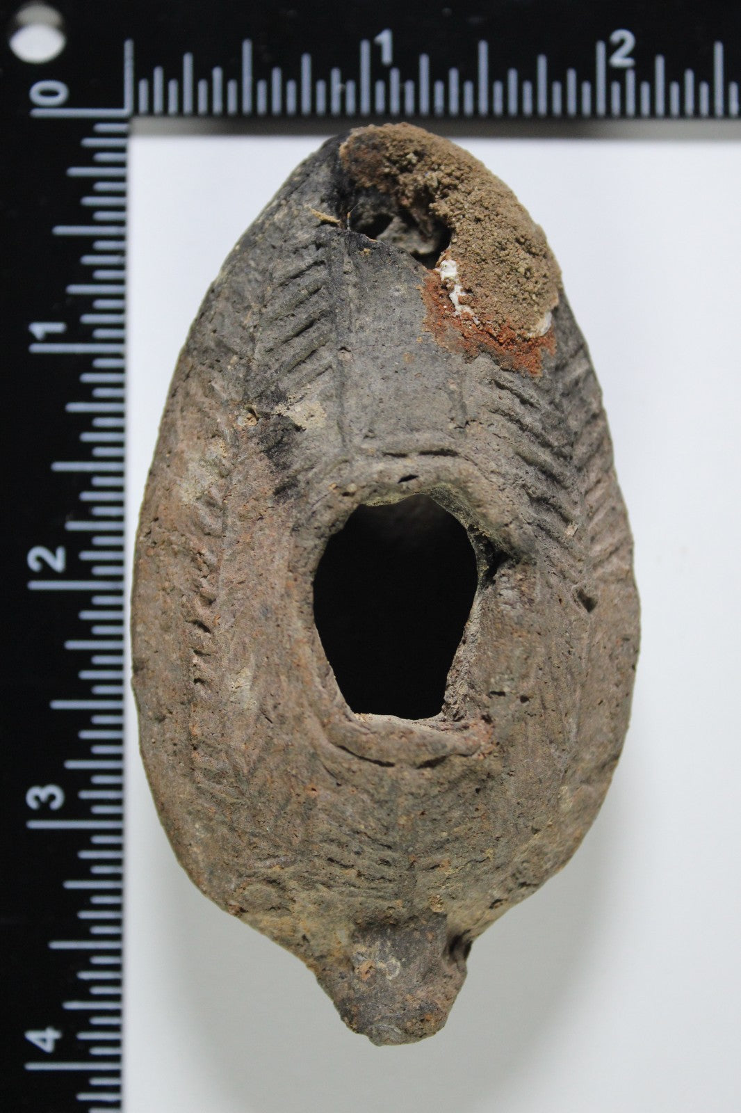 Oil Lamp Holy Land Ancient Artifact Jesus Christ Home Israel 300-600 AD COA 138