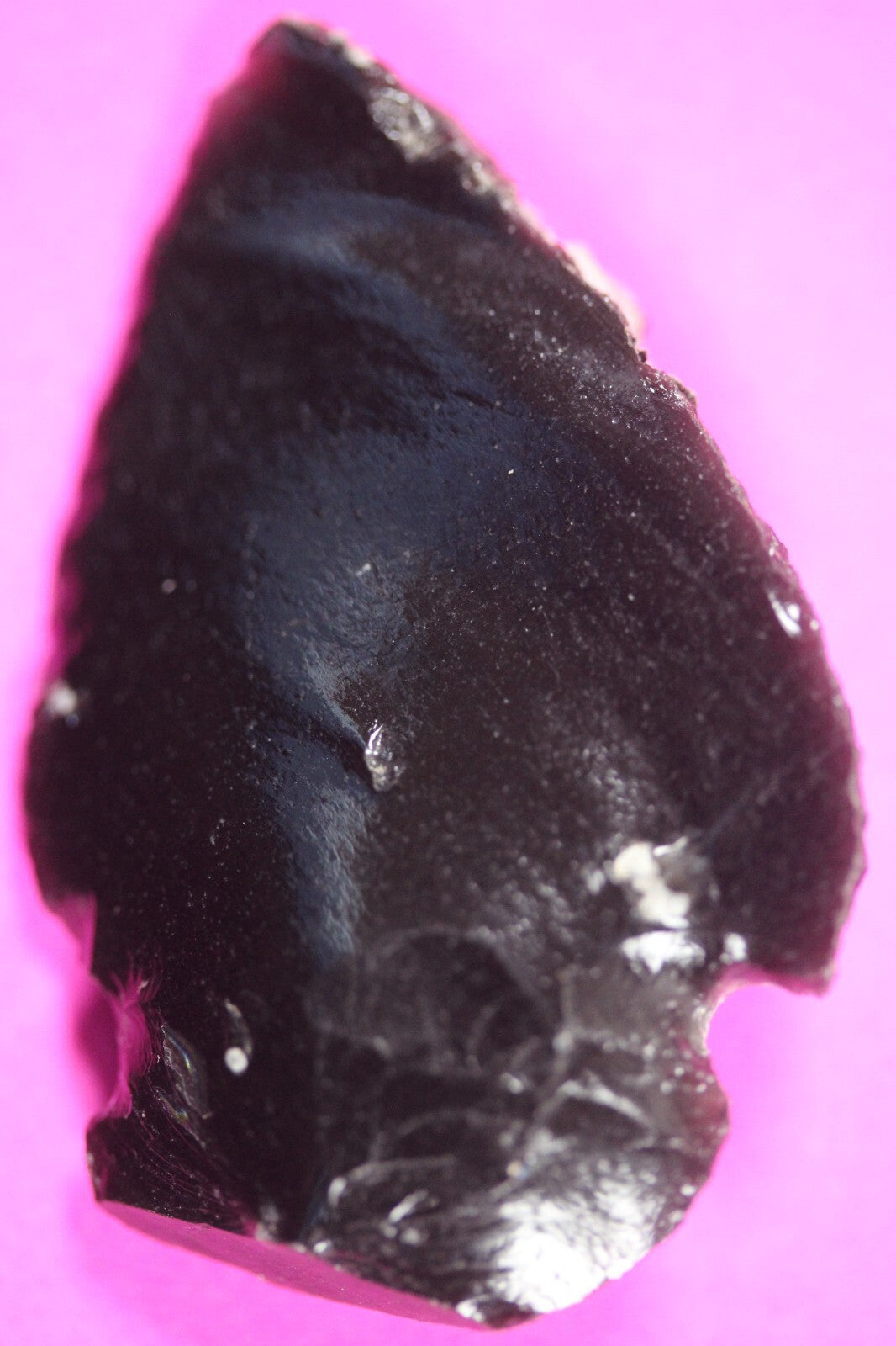 Pre Columbian Artifact Authentic Aztec Arrowhead Battle of Mexico City COA 14