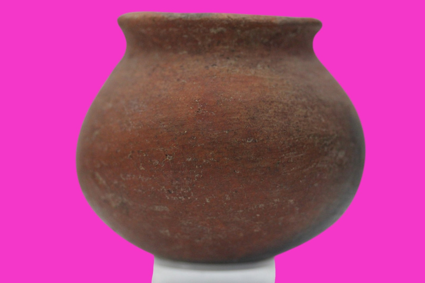 Pre Columbian Authentic Artifact Colima Cooking Pot Mexico 200BC - 200AD COA J14