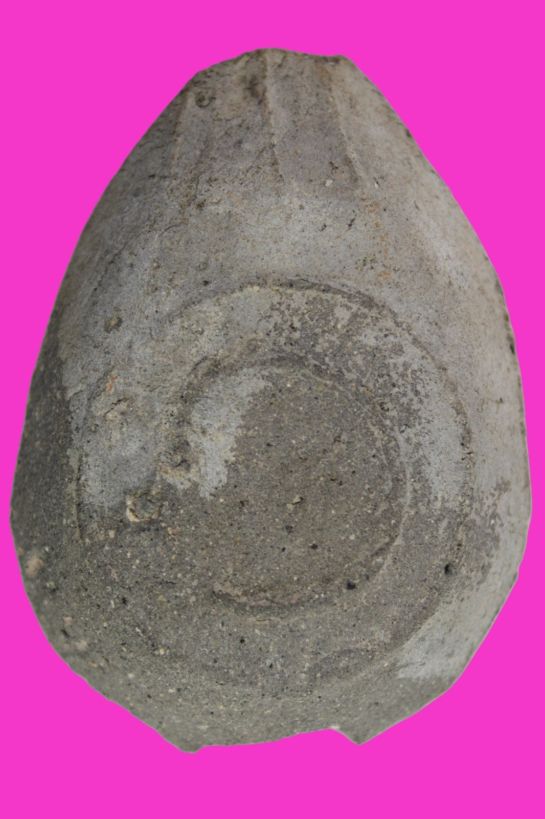 Oil Lamp Holy Land Ancient Artifact Jesus Christ Home Israel 300-600 AD COA 106