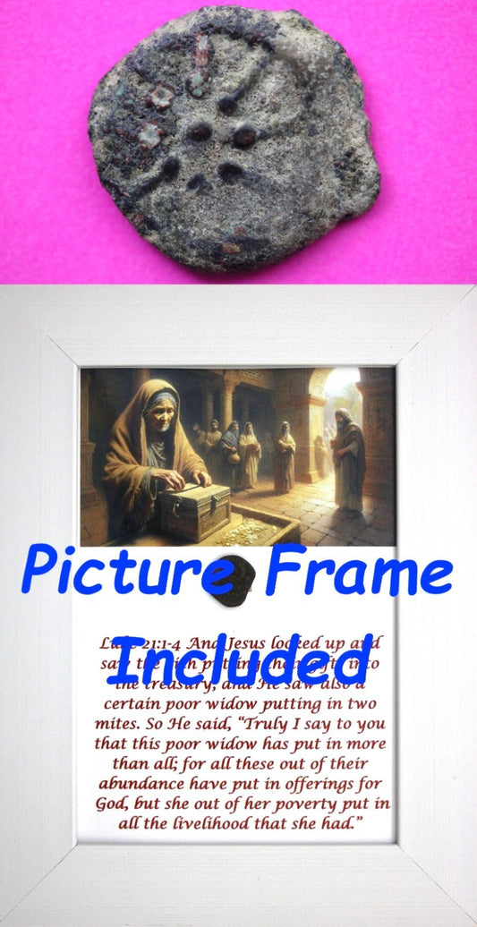 Widows Mite Coin Holy Land Artifact Free Display Frame Jesus Christ Lifetime 164