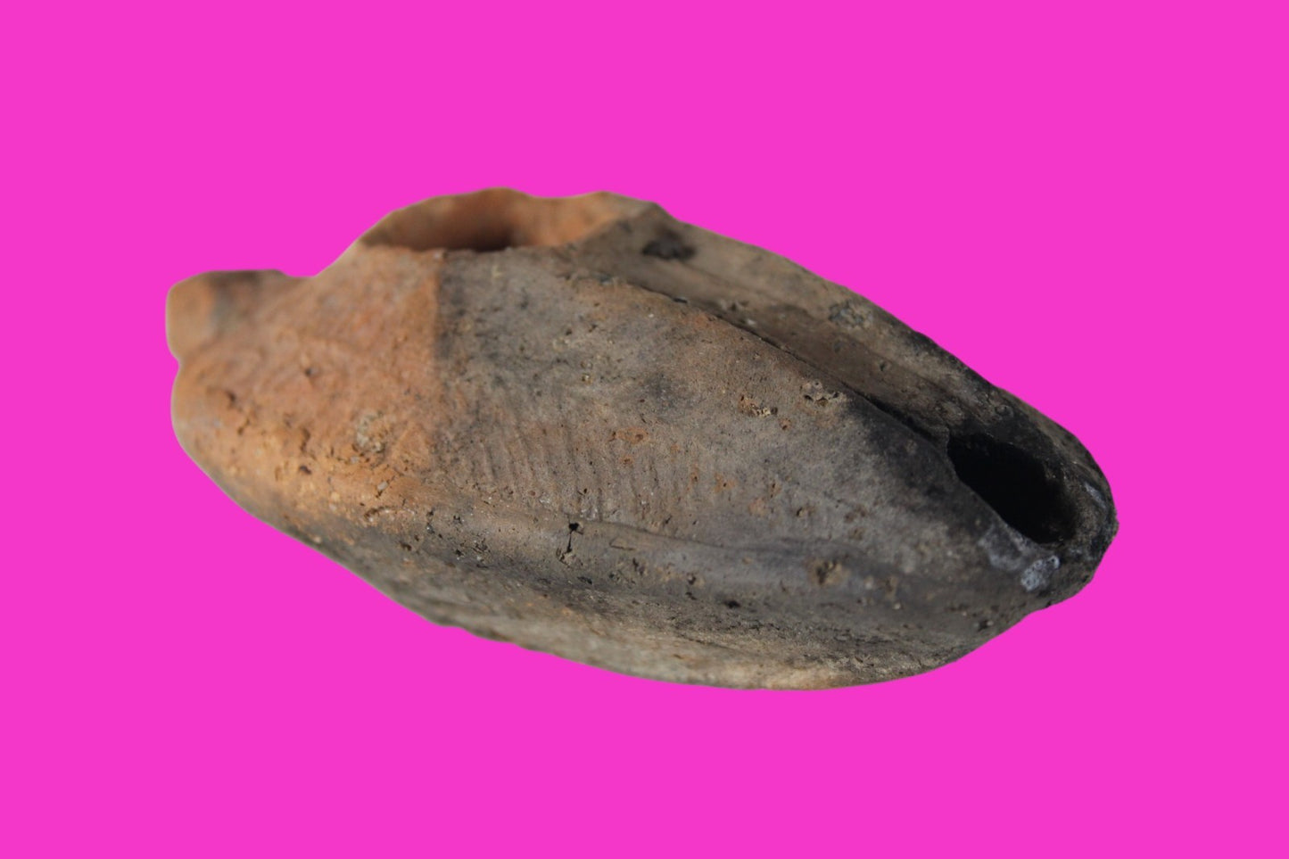 Oil Lamp Holy Land Ancient Artifact Jesus Christ Home Israel 300-600 AD COA 118