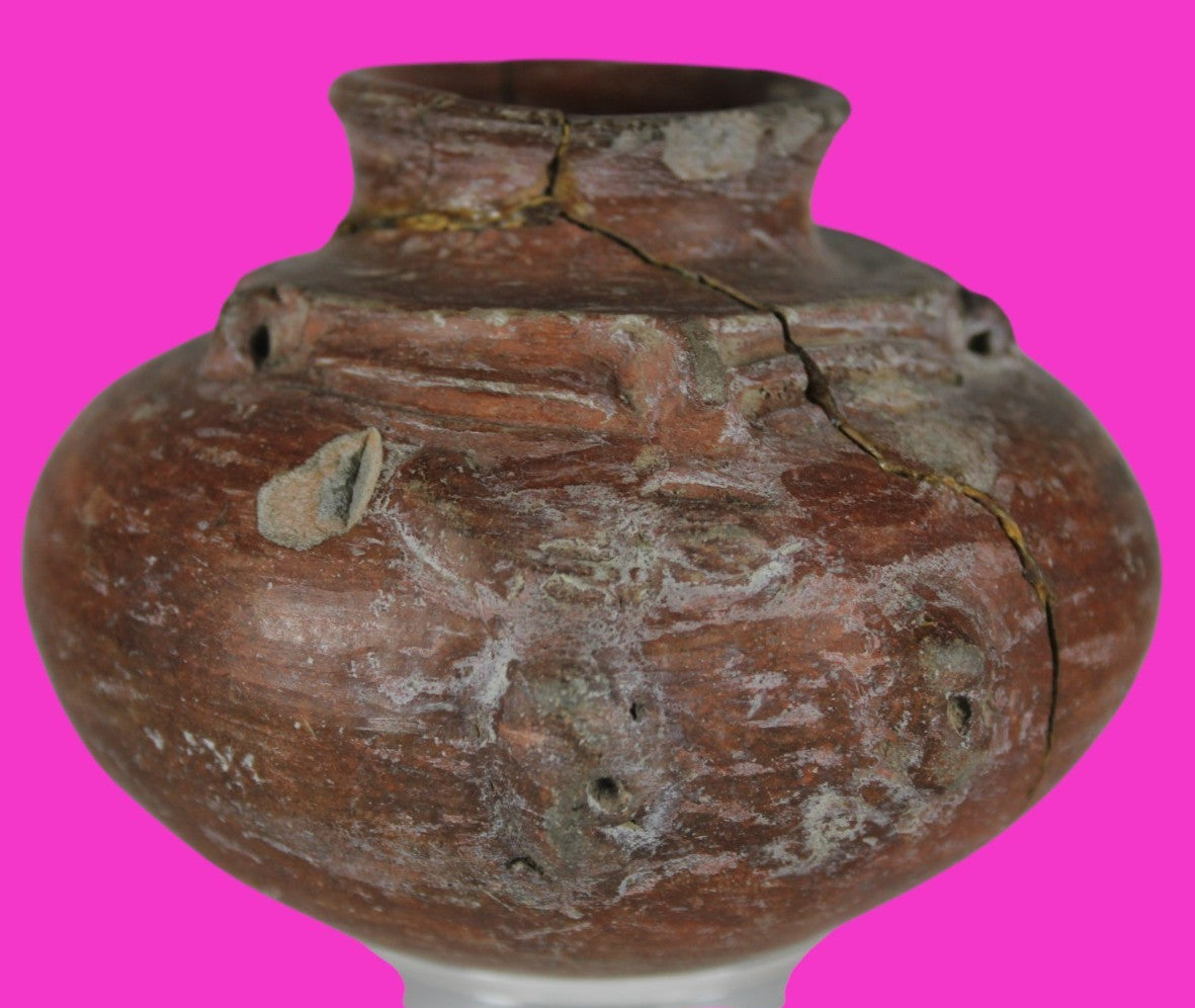 Pre Columbian Authentic Artifact Repaired Mayan Olla Yucatan 250-900 AD COA J69