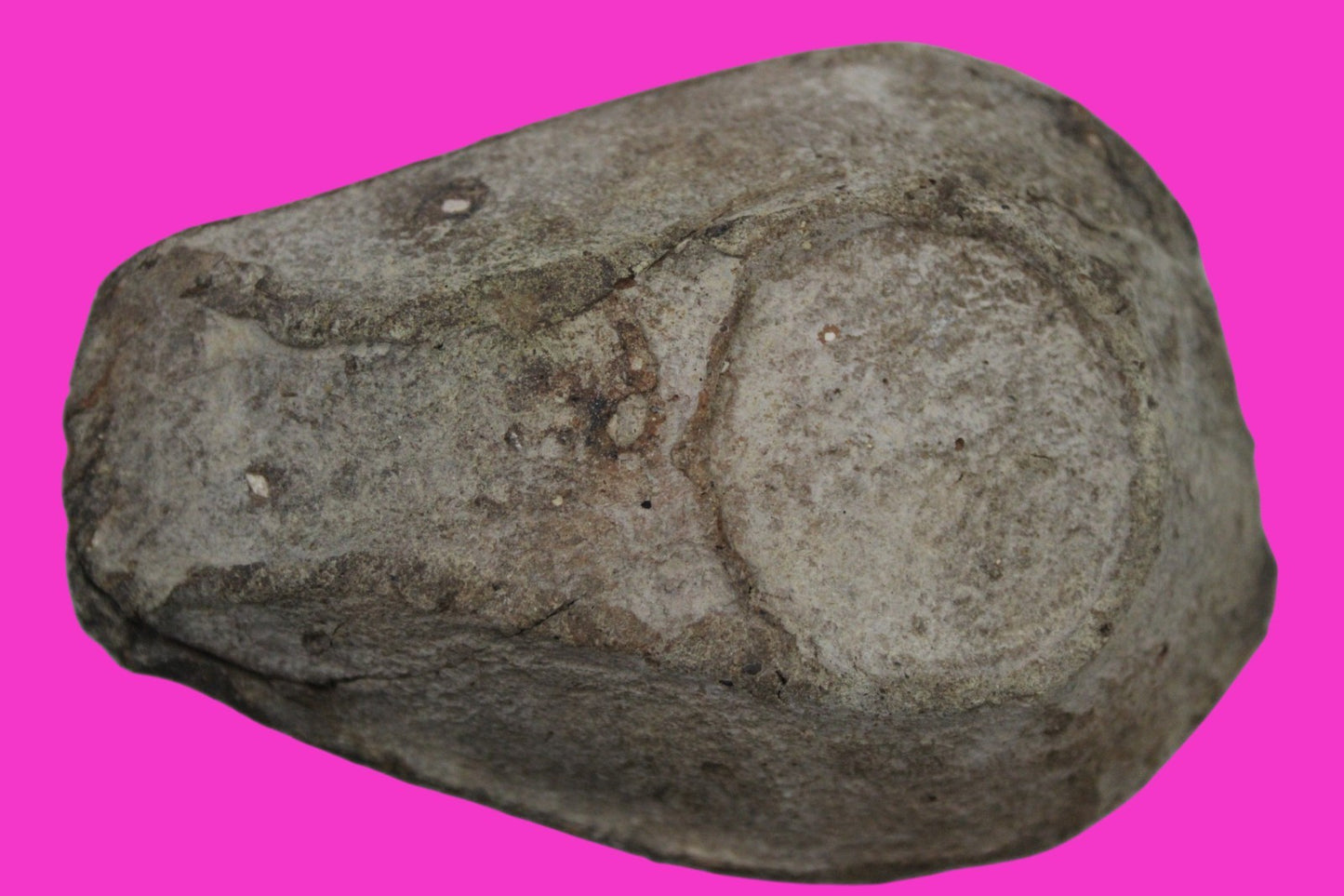 Ancient Holy Land Oil Lamp Artifact Rare Kiln Error Israel 300-600 AD COA 129