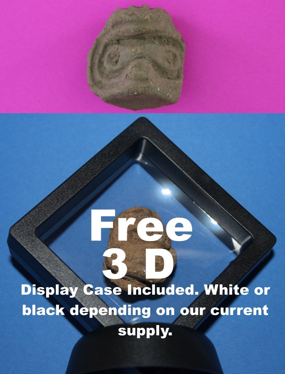 Puerto Rico Taino Pre Columbian Pottery Artifact FREE Display Case 1000AD COA 78