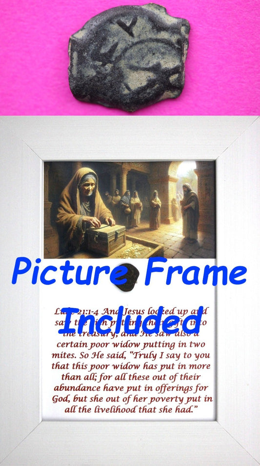 Widows Mite Coin Holy Land Artifact Free Display Frame Jesus Christ Lifetime 143