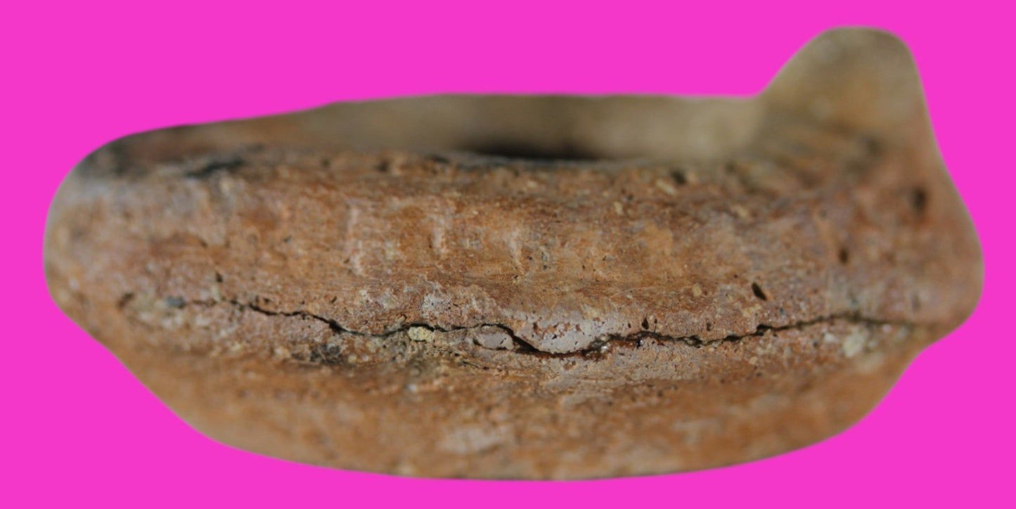 Ancient Holy Land Oil Lamp Artifact Jesus Christ Homeland 100 - 400 AD COA L11