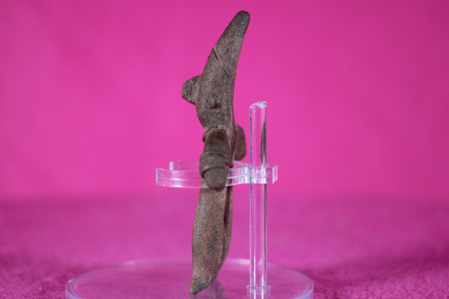 Authentic Pre Columbian Artifact Archaic Tomb Figure Colima Mexico 100BC COA 135
