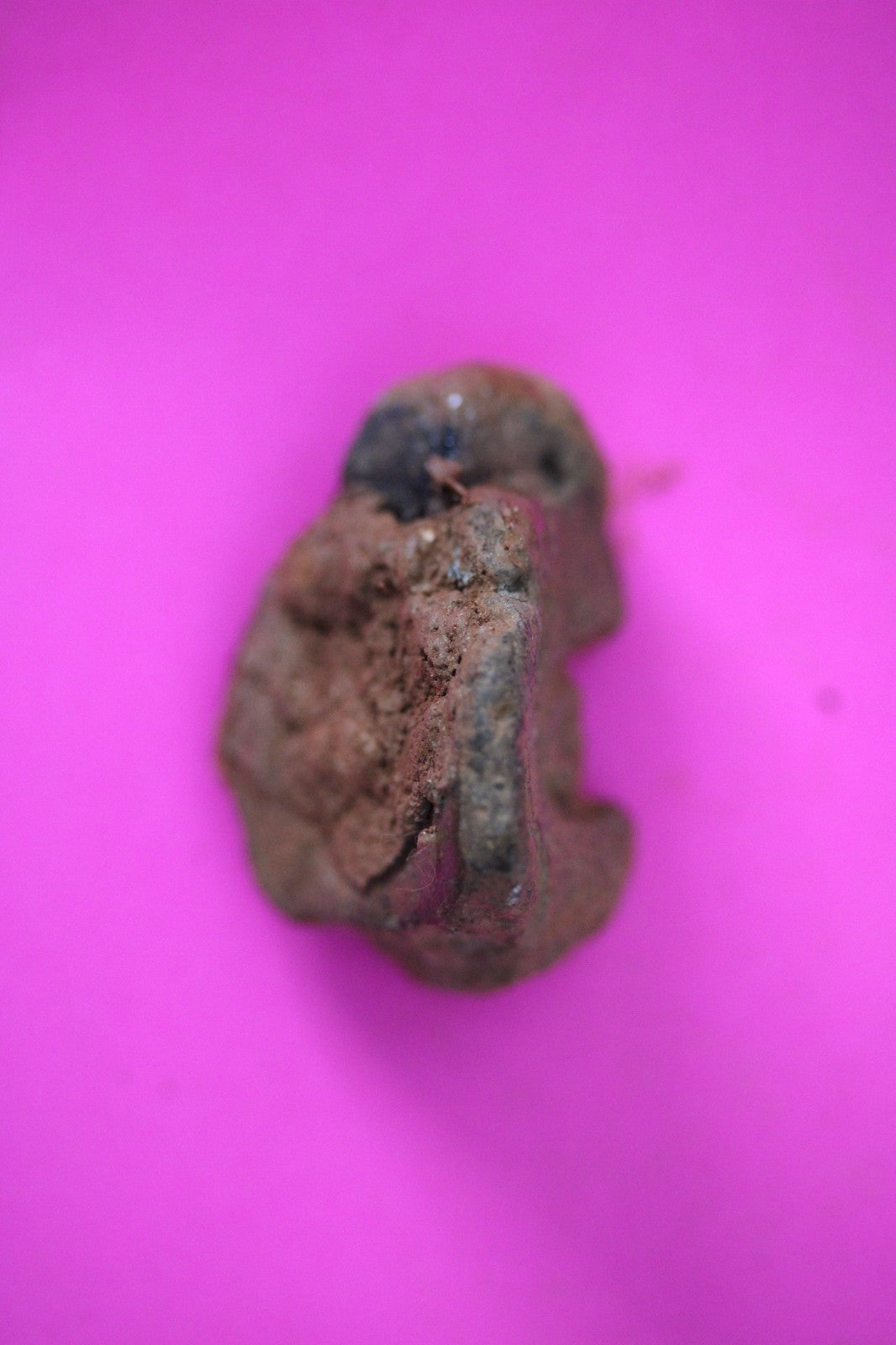 Puerto Rico Taino Pre Columbian Pottery Artifact FREE Display Case 1000AD COA 12