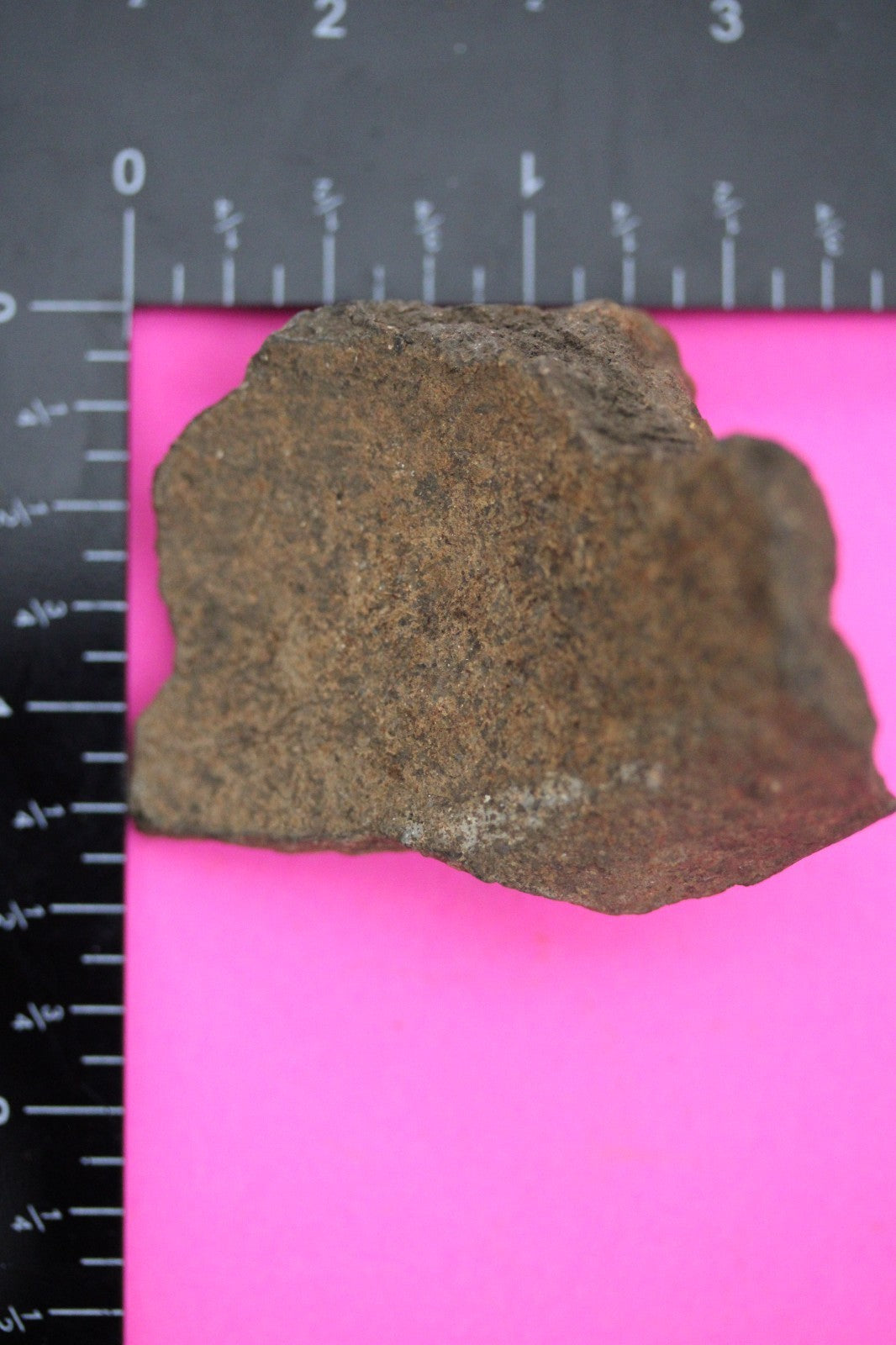 Puerto Rico Taino Pre Columbian Pottery Artifact FREE Display Case 1000AD COA 46