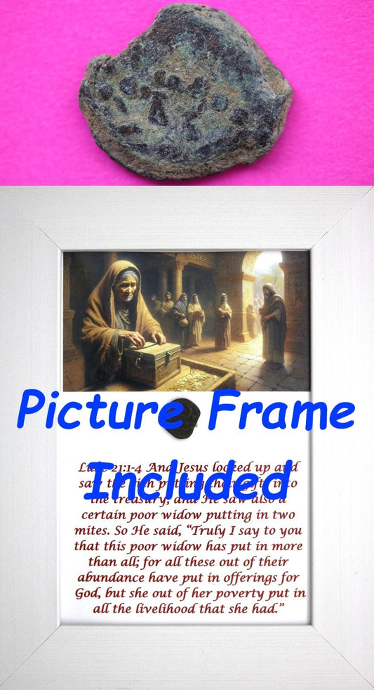 Widows Mite Coin Holy Land Artifact Free Display Frame Jesus Christ Lifetime 188