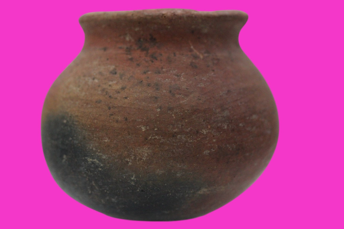 Pre Columbian Authentic Artifact Colima Cooking Pot Mexico 200BC - 200AD COA J14