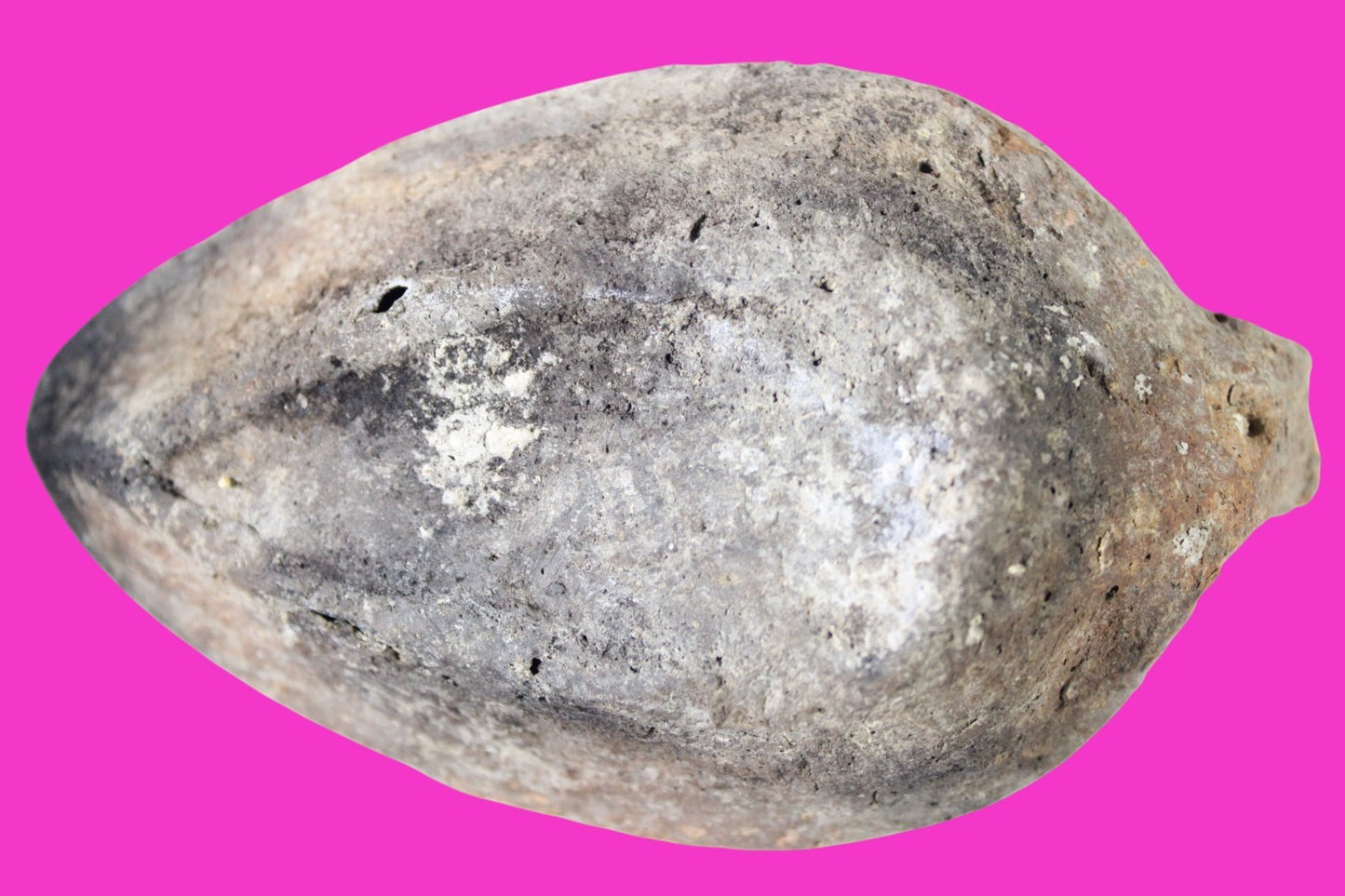 Oil Lamp Holy Land Ancient Artifact Jesus Christ Home Israel 300-600 AD COA 125