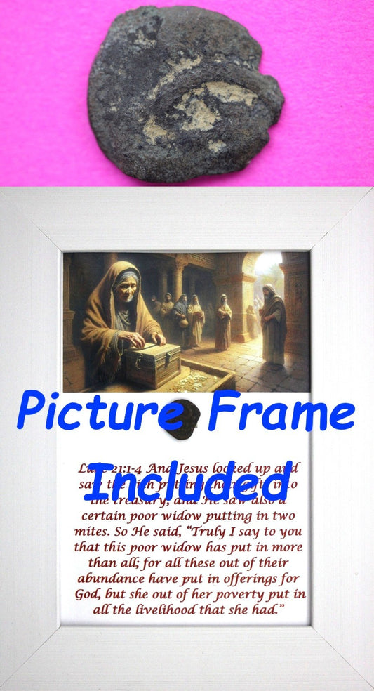 Widows Mite Coin Holy Land Artifact Free Display Frame Jesus Christ Lifetime 130