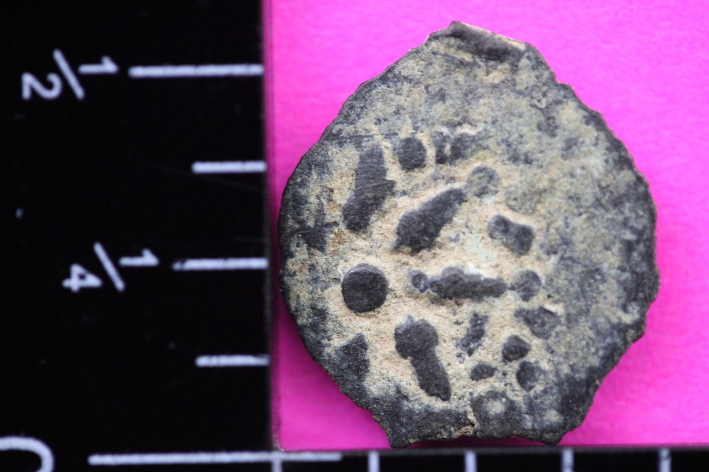 Widows Mite Coin Holy Land Artifact Free Display Frame Jesus Christ Lifetime 83