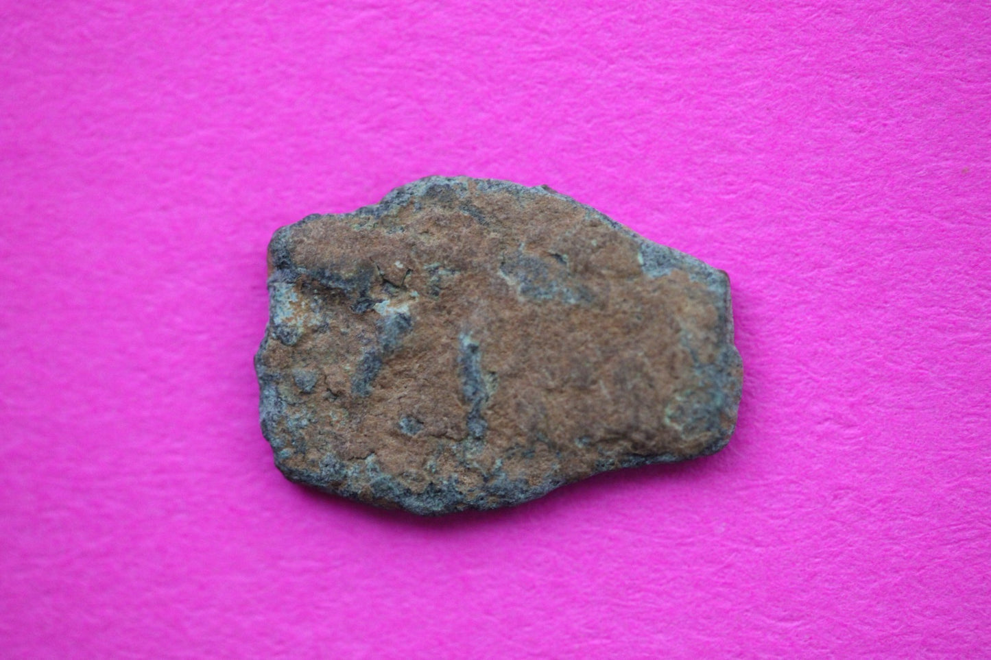 Widows Mite Coin Holy Land Artifact Free Display Frame Jesus Christ Lifetime 200