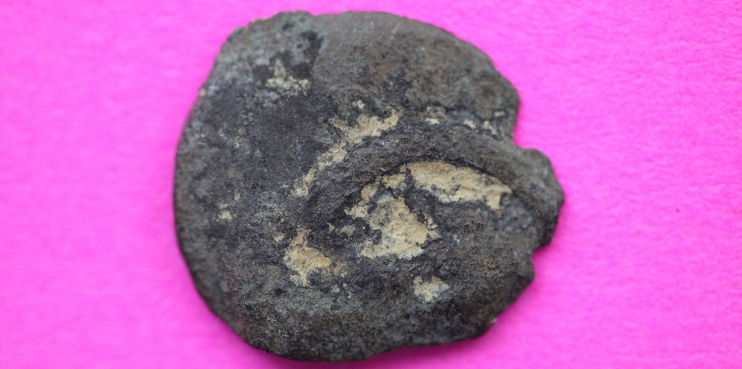 Widows Mite Coin Holy Land Artifact Free Display Frame Jesus Christ Lifetime 130