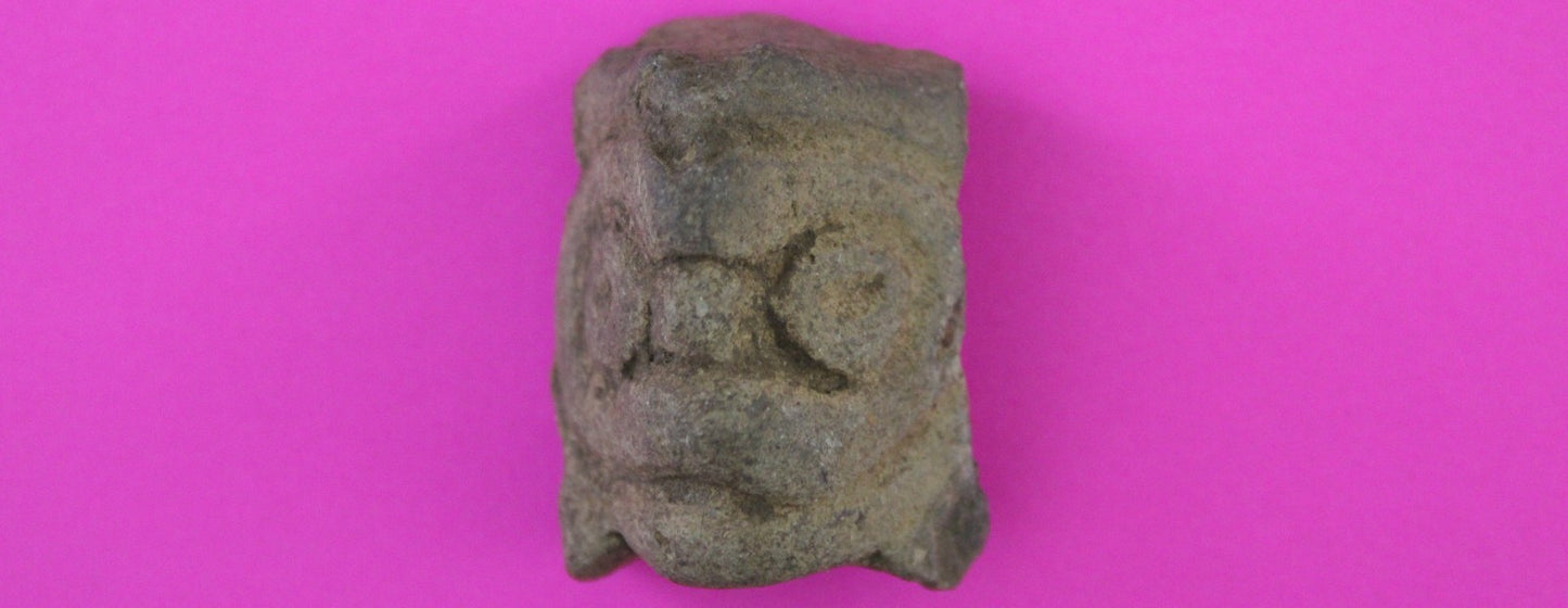 Puerto Rico Taino Pre Columbian Pottery Artifact FREE Display Case 1000AD COA 84