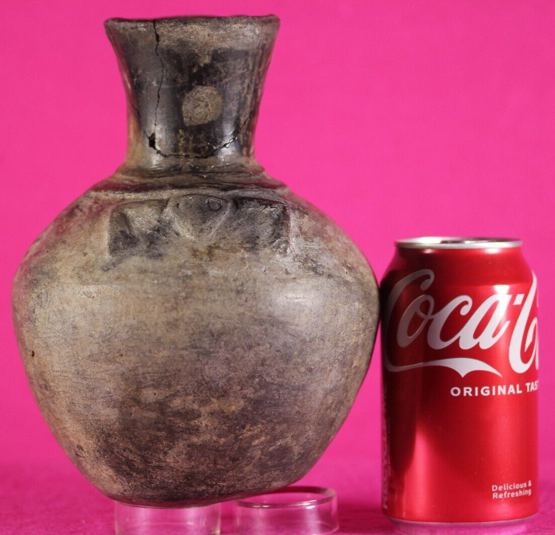 Pre Columbian Artifact Authentic Moche Frog Pottery Jar 100-800 AD Peru COA J60