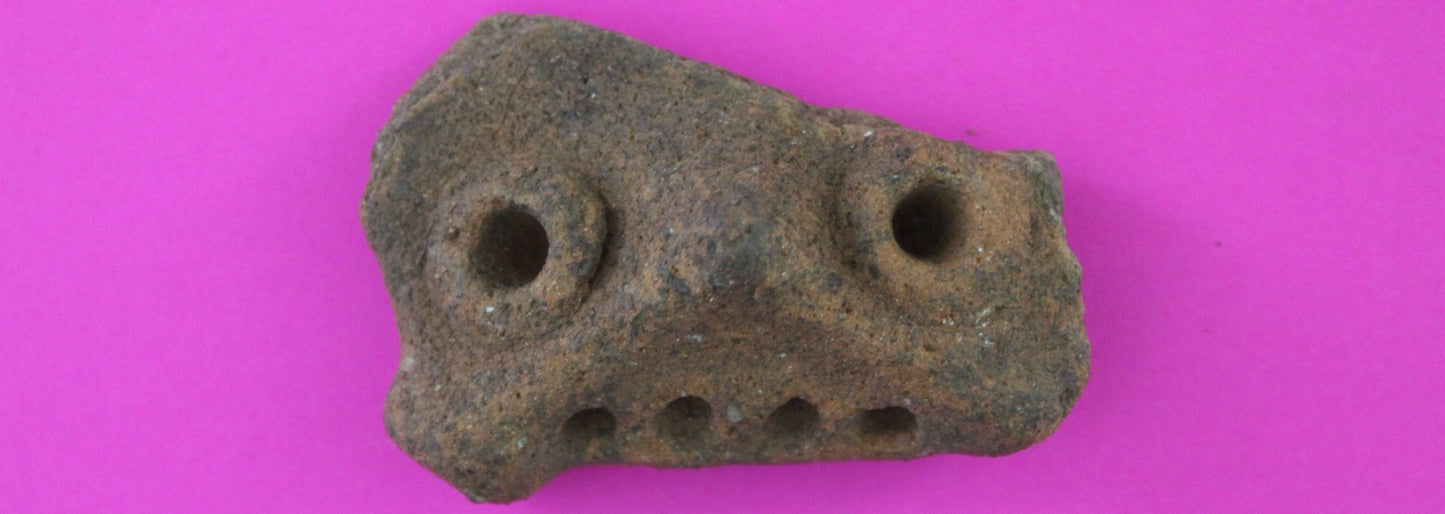 Puerto Rico Taino Pre Columbian Pottery Artifact FREE Display Case 1000AD COA 77