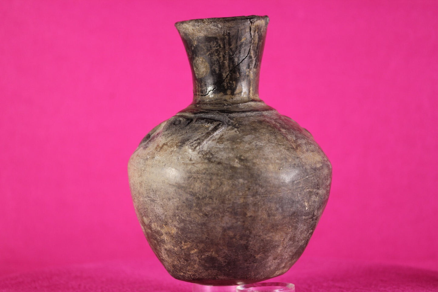 Pre Columbian Artifact Authentic Moche Frog Pottery Jar 100-800 AD Peru COA J60