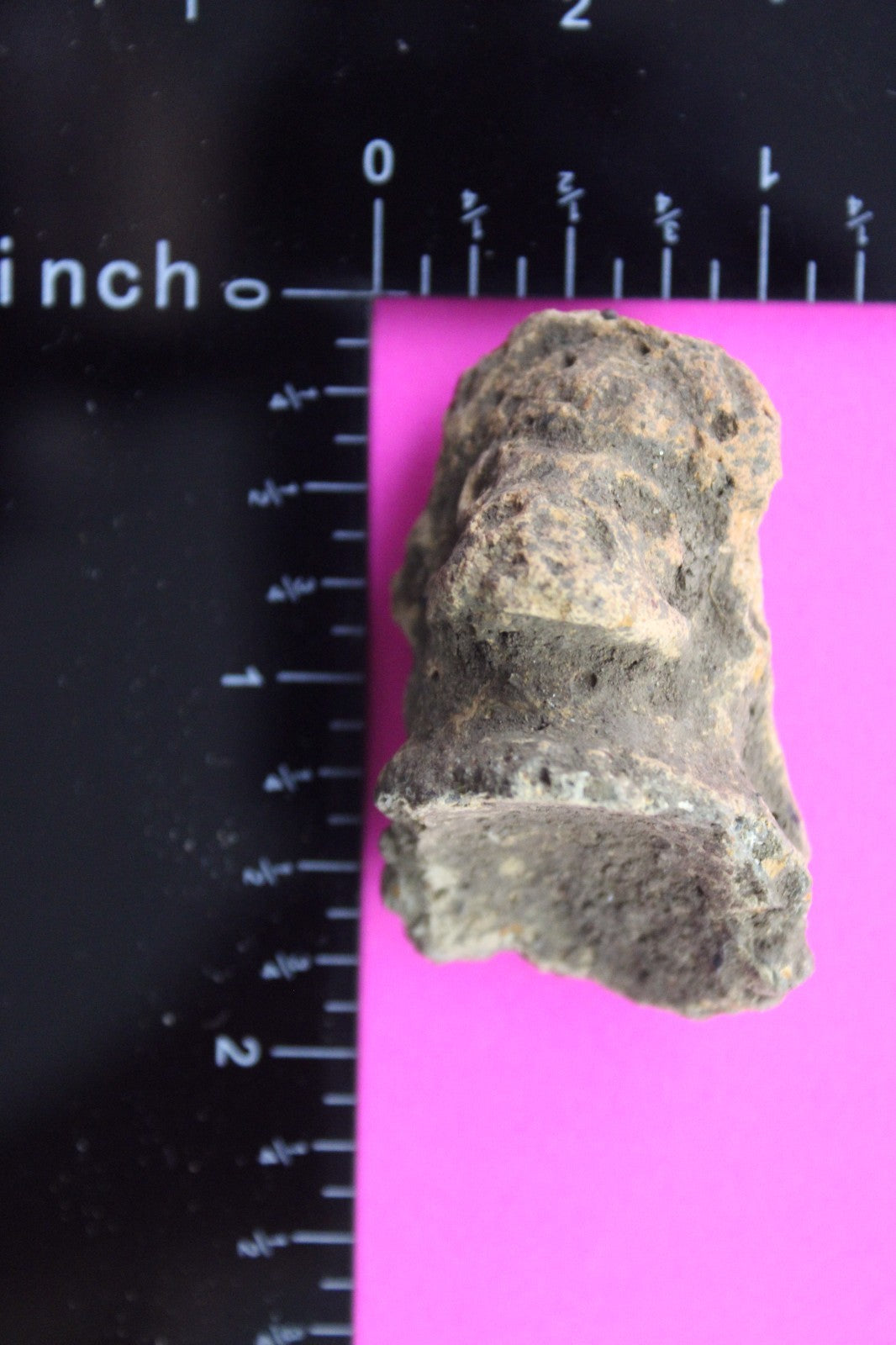 Puerto Rico Taino Pre Columbian Pottery Artifact FREE Display Case 1000AD COA 57