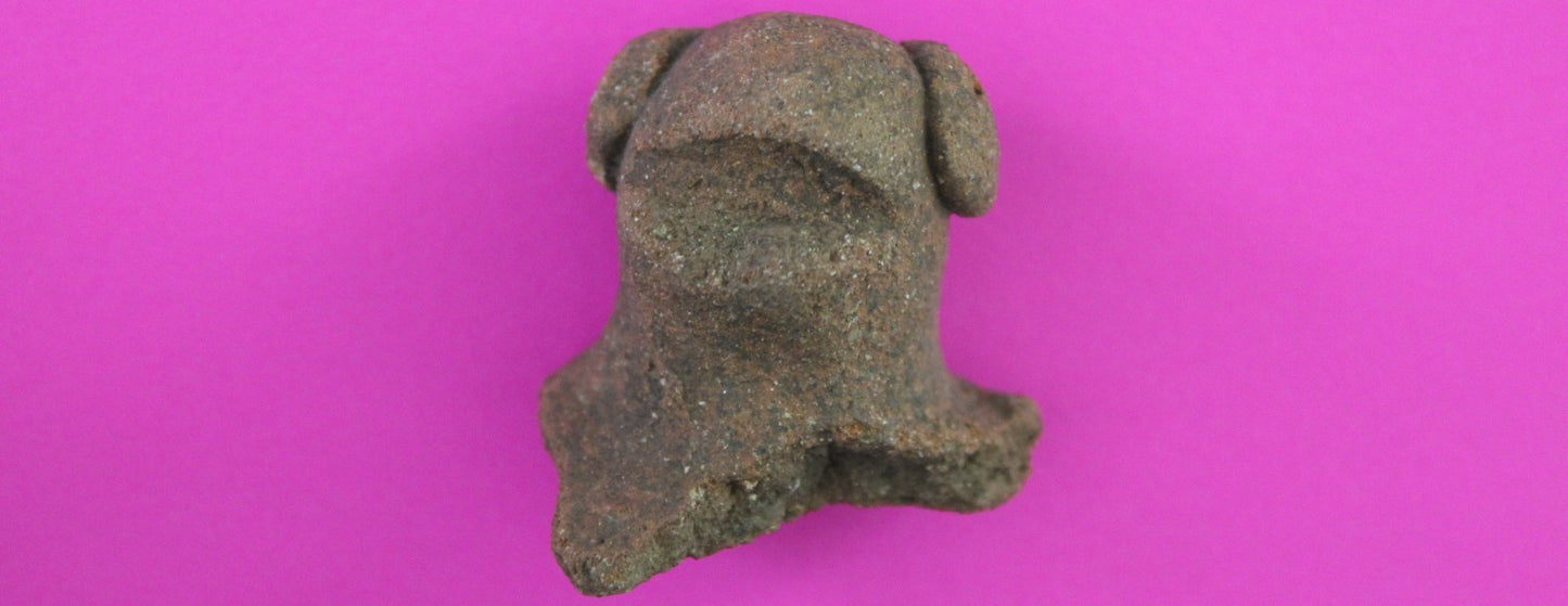 Puerto Rico Taino Pre Columbian Pottery Artifact FREE Display Case 1000AD COA103