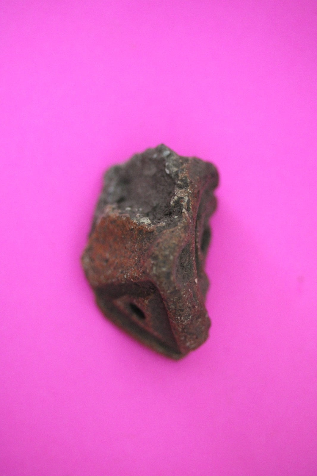 Puerto Rico Taino Pre Columbian Pottery Artifact FREE Display Case 1000AD COA 48