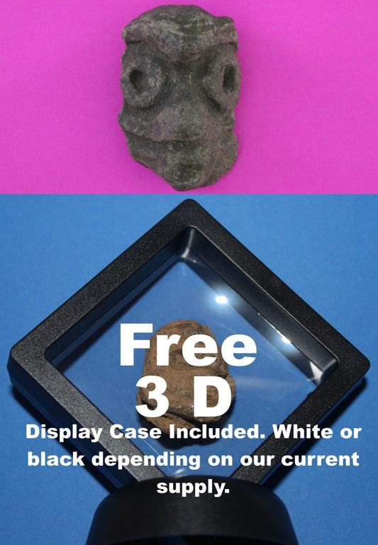 Puerto Rico Taino Pre Columbian Pottery Artifact FREE Display Case 1000AD COA 97