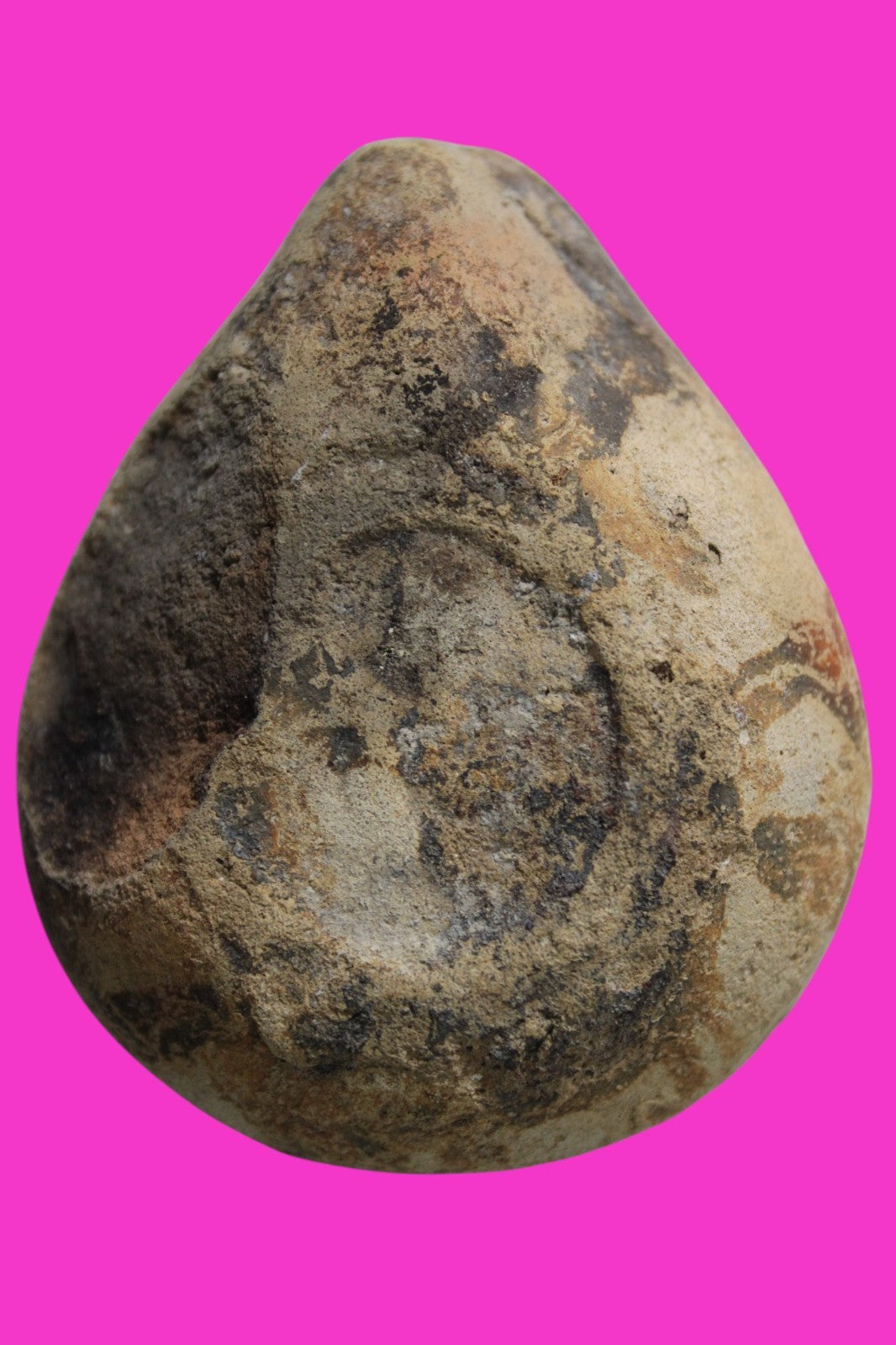 Ancient Holy Land Oil Lamp Artifact Jesus Christ Homeland 100BC-400AD COA 14