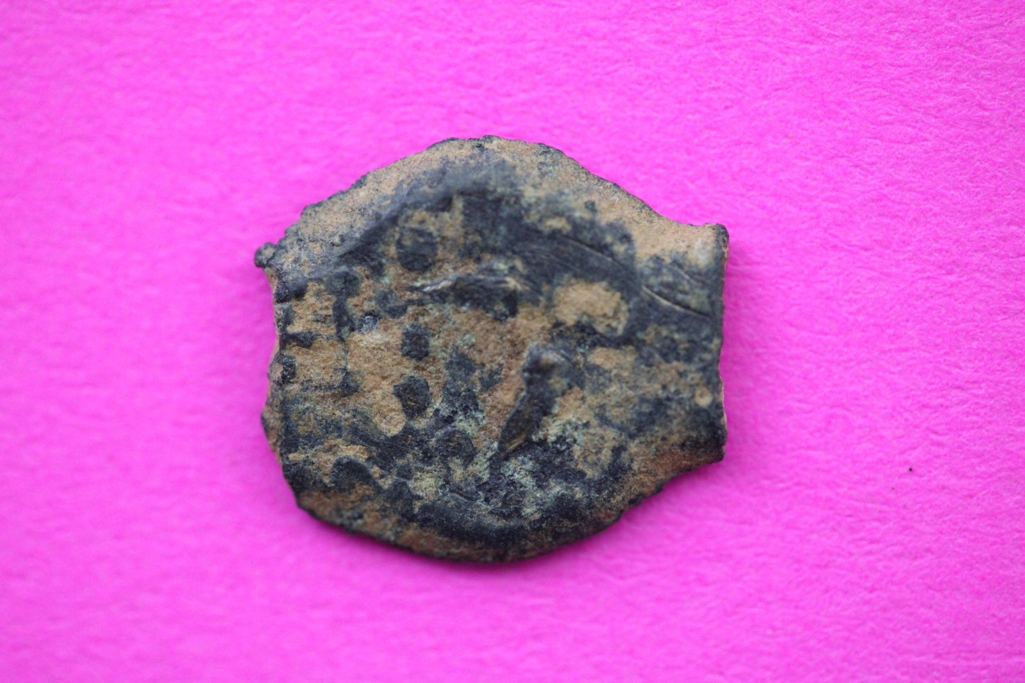 Widows Mite Coin Holy Land Artifact Free Display Frame Jesus Christ Lifetime 129