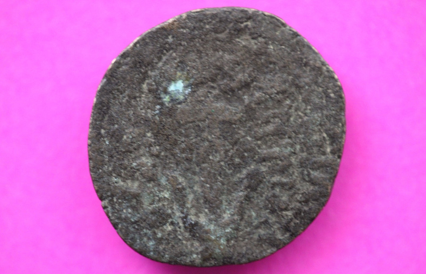 Widows Mite Coin Holy Land Artifact Free Display Frame Jesus Christ Lifetime 182