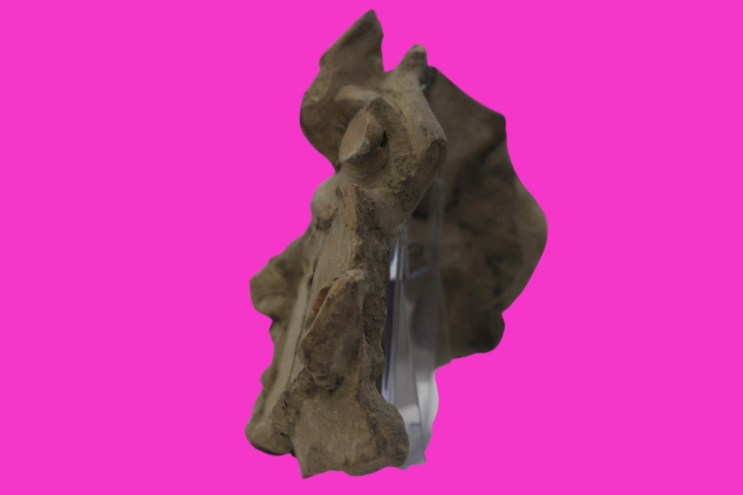 Pre Columbian Artifact Authentic Big Face Ornament Colima Mexico 200 BC COA J104