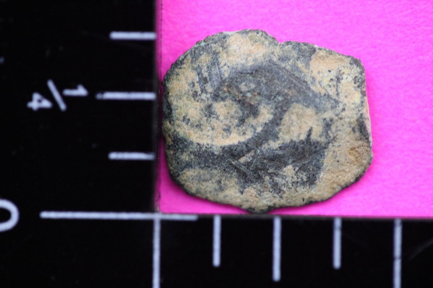 Widows Mite Coin Holy Land Artifact Free Display Frame Jesus Christ Lifetime 151