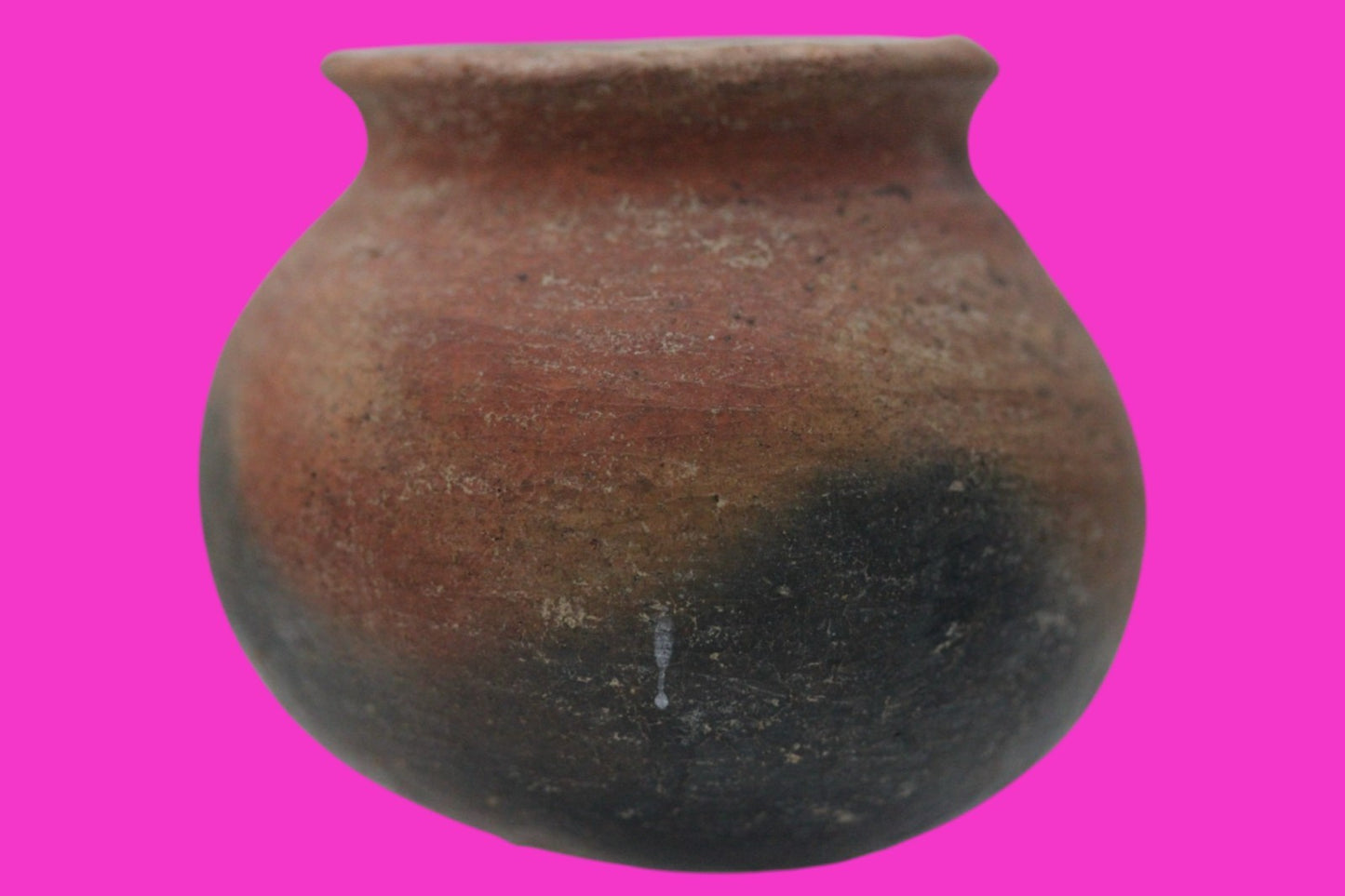 Pre Columbian Authentic Artifact Colima Cooking Pot Mexico 200BC - 200AD COA J14