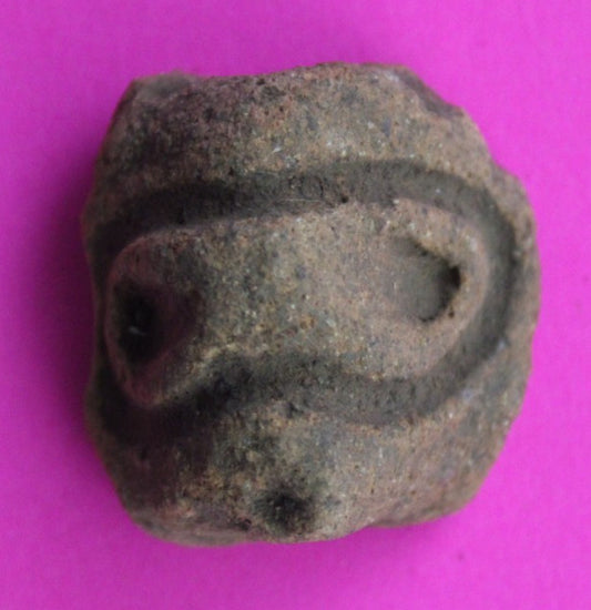 Puerto Rico Taino Pre Columbian Pottery Artifact FREE Display Case 1000AD COA 54